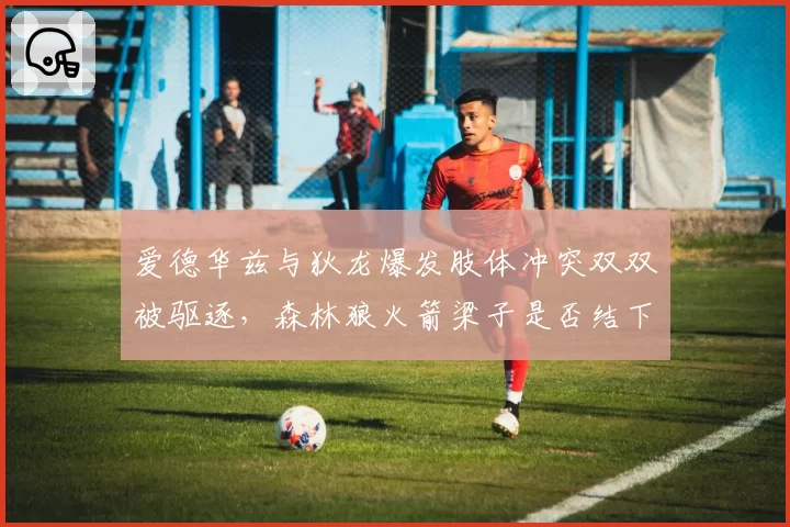 爱德华兹与狄龙爆发肢体冲突双双被驱逐，森林狼火箭梁子是否结下？