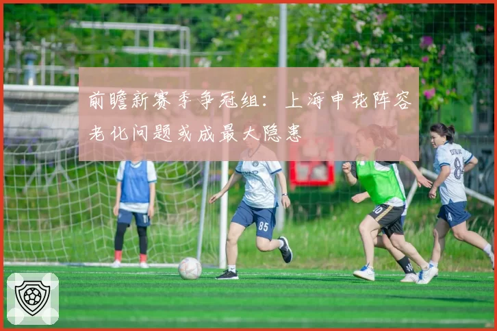 前瞻新赛季争冠组：上海申花阵容老化问题或成最大隐患