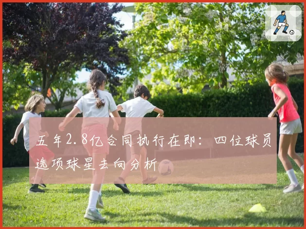 五年2.8亿合同执行在即：四位球员选项球星去向分析
