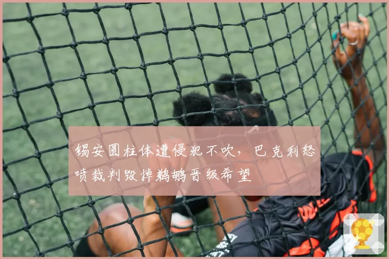 锡安圆柱体遭侵犯不吹,巴克利怒喷裁判毁掉鹈鹕晋级希望