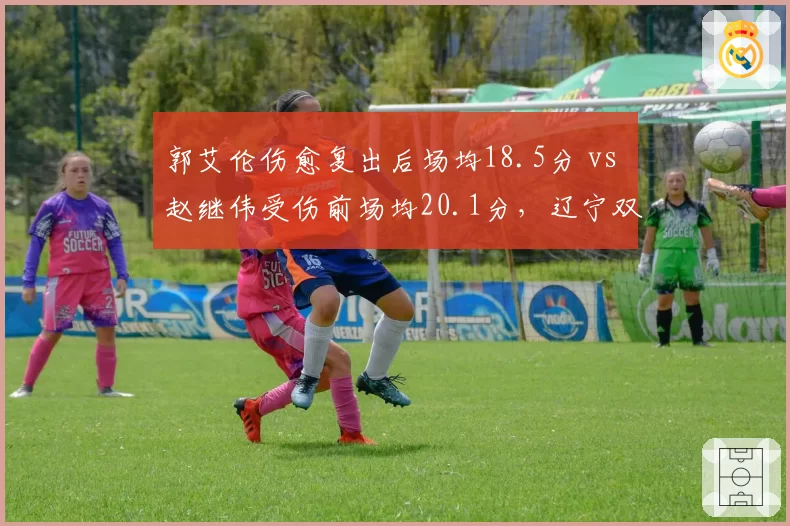 郭艾伦伤愈复出后场均18.5分 vs 赵继伟受伤前场均20.1分，辽宁双核此消彼长